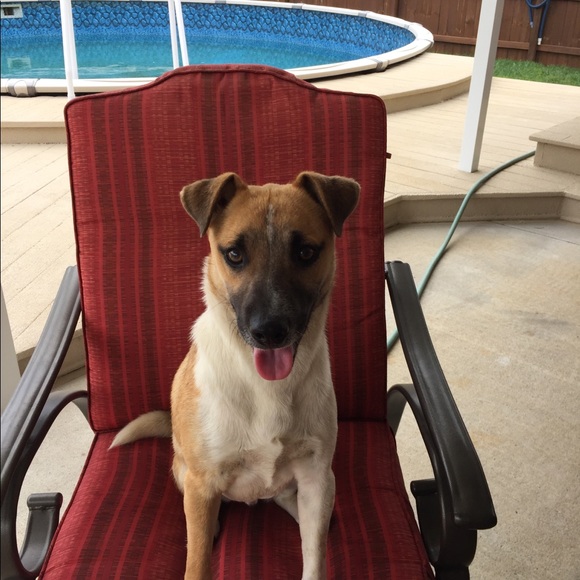 Meet your Posher, Vikki - Picture 6 of 7